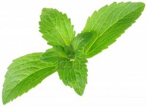 coltivazione-stevia-biodinamica